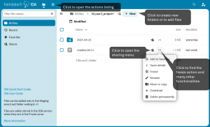IDA screenshot with multiple functionalities